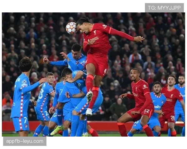 范戴克膝伤持续拖累球队战绩，复出前景成焦点